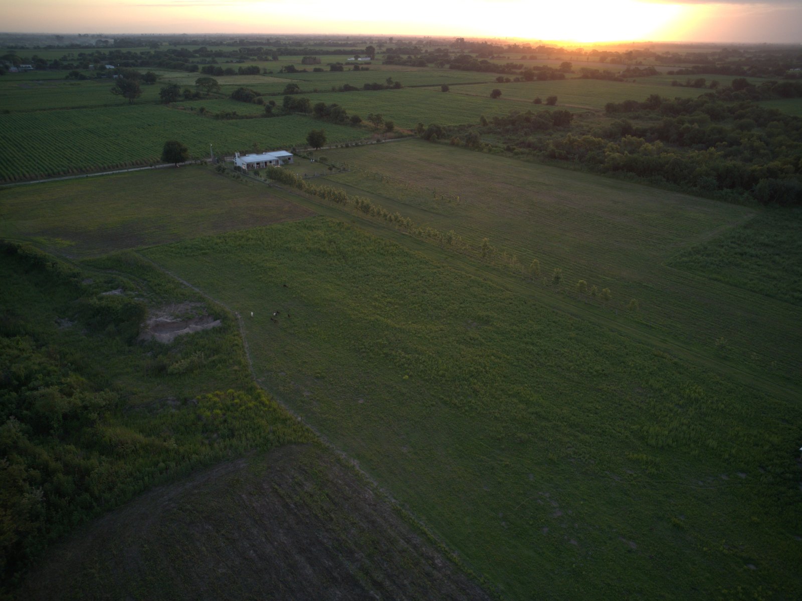 CAMPO EN LEALES - Foto 2