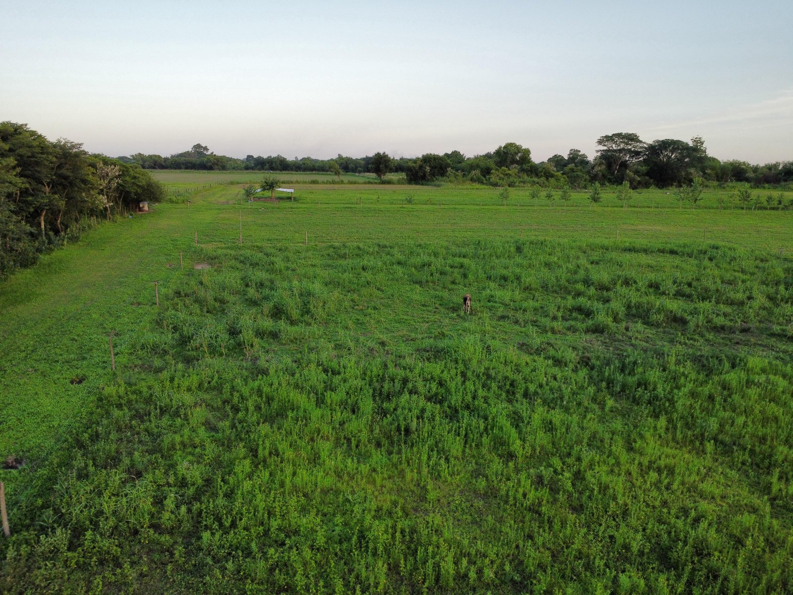 CAMPO EN LEALES - Foto 9